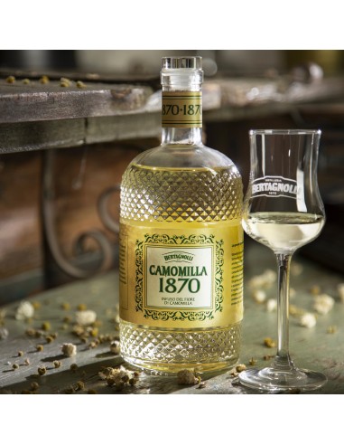 Infuso 1870 Camomilla